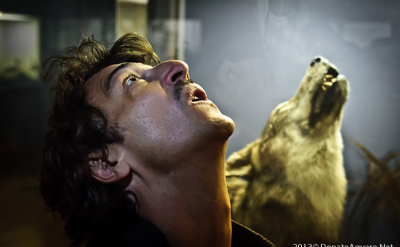 BERGALLO-CAPPUCCETTO-ROSSO-800x494